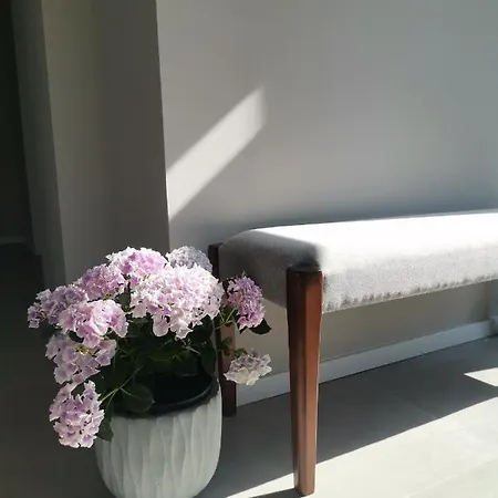 Holiday home Vadvirag Vendeghaz
